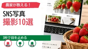 ??????SNS????10???????