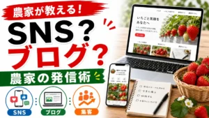 ???SNS????????????