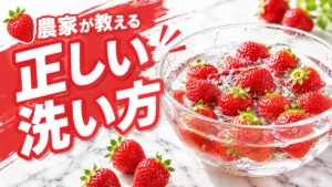 ボウルの水で洗ういちご｜農家が教える正しい洗い方