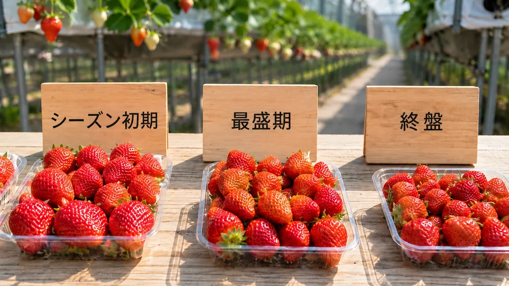 丹羽いちご園の価格の考え方を示したイメージ：初期・最盛期・終期の3つの値札