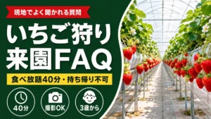 丹羽いちご園 いちご狩り来園FAQ 食べ放題40分・持ち帰り不可・撮影OK・3歳から