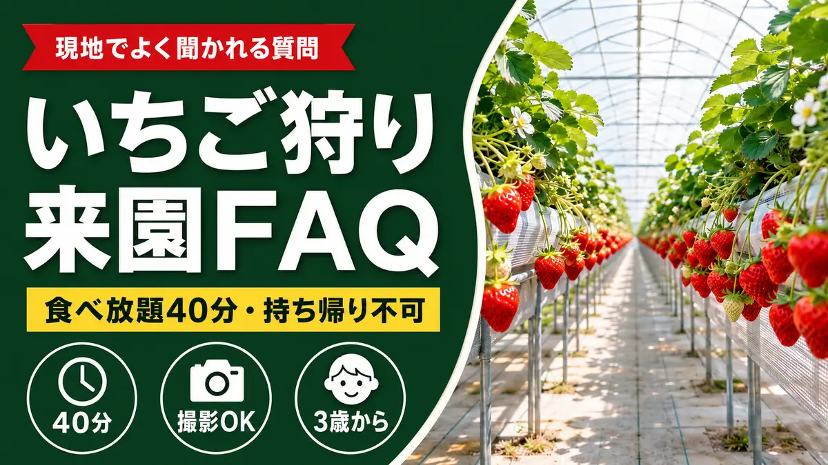 丹羽いちご園 いちご狩り来園FAQ 食べ放題40分・持ち帰り不可・撮影OK・3歳から