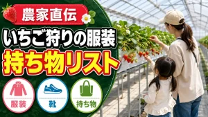 いちご狩りの服装と持ち物のアイキャッチ