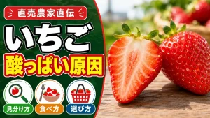 赤いのに酸っぽいいちごの見分け方