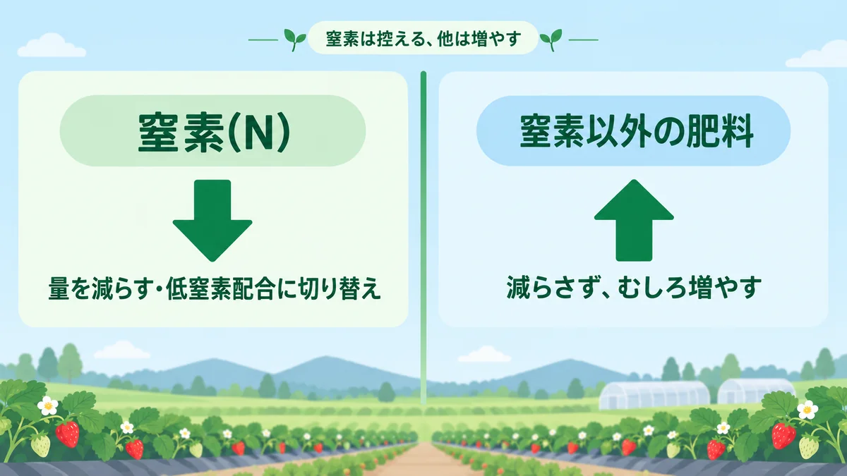 窒素は控える、窒素以外の肥料は減らさずむしろ増やすという丹羽いちご園の施肥調整を示す対比図。左側は窒素(N)を量を減らす・低窒素配合に切り替えて控える、右側は窒素以外の肥料を減らさずむしろ増やすことを示す。