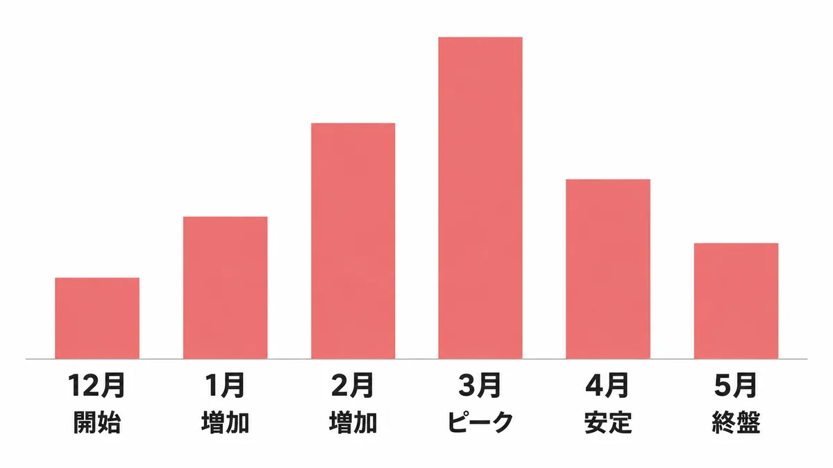 いちごの出回り時期を示す月別棒グラフ。12月に開始、1月と2月に増加、3月にピーク、4月に安定、5月に終盤を迎えることを表している。