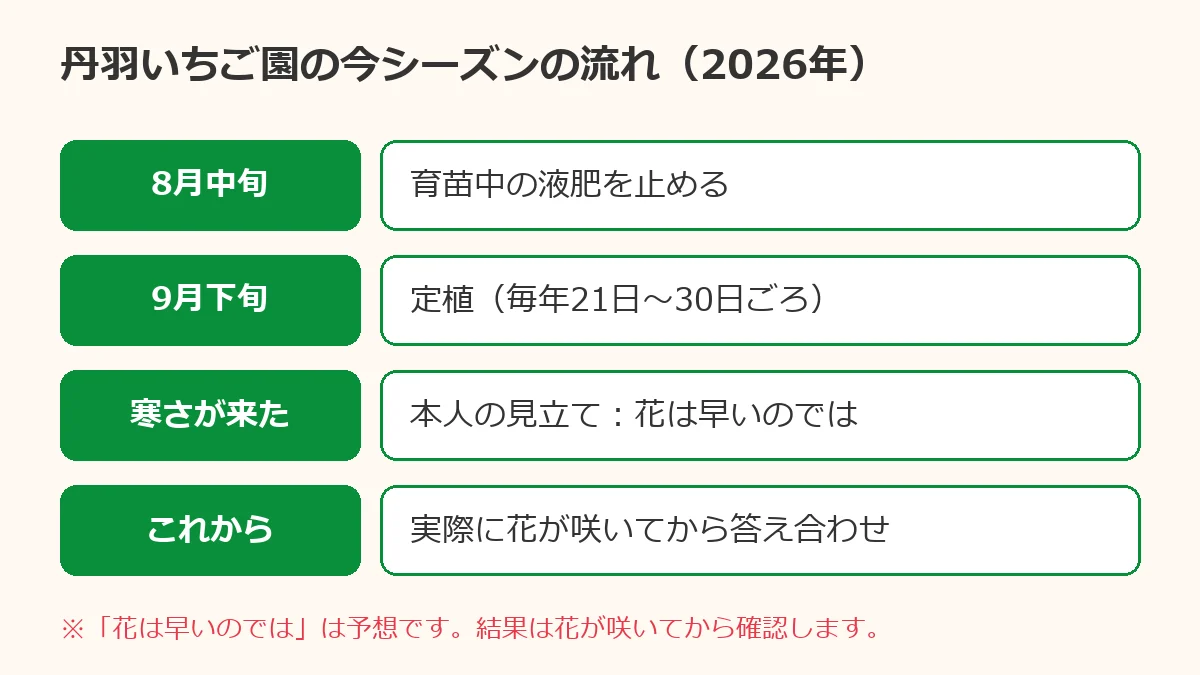 丹羽いちご園の今シーズンの流れ。8月中旬に液肥を止め、9月下旬に定植し、寒さが来て、花の咲く時期は予想の段階であることを示した図